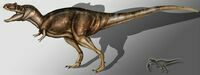 An artists reconstruction of Albertosaurus.